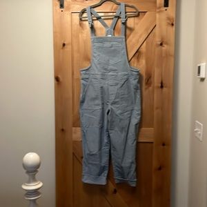 Aerie Light Blue Corduroy Overalls (LG)